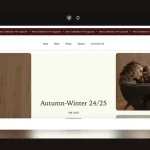 boutique shopify theme free download