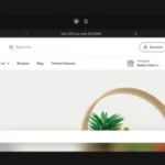 local shopify theme nulled free download