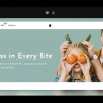 flux shopify theme nulled free download