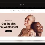 sleek shopify theme free download